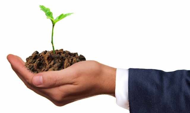 Aziende green: come riconoscerle e quali sono i vantaggi della sostenibilit